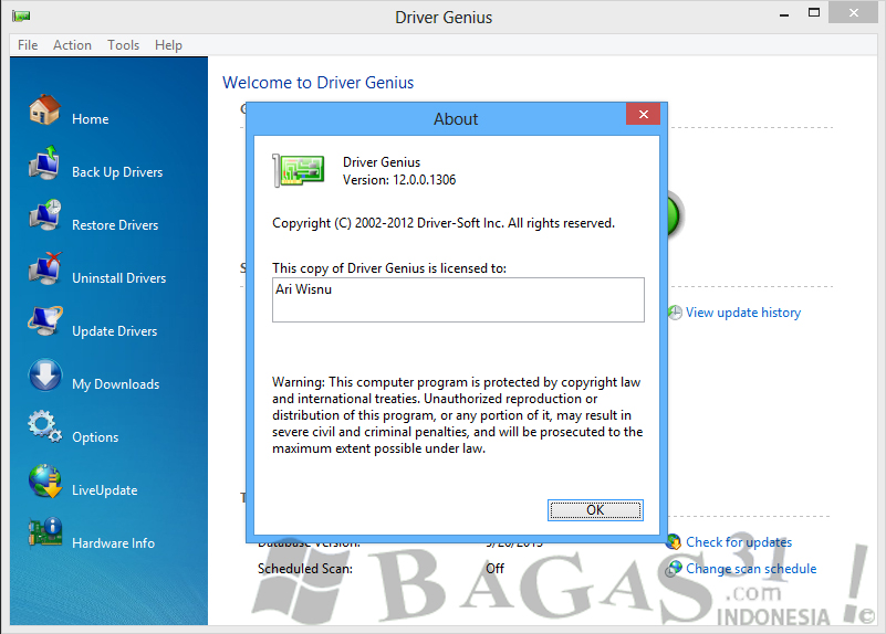 RegGenie Review (Registry Cleaning Software)